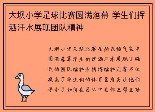 大坝小学足球比赛圆满落幕 学生们挥洒汗水展现团队精神