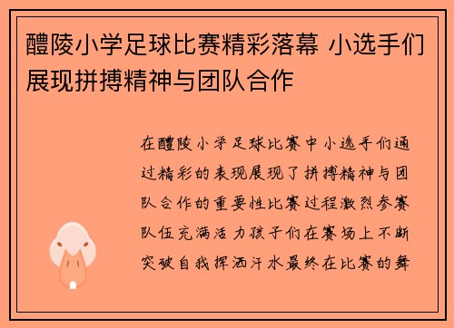 醴陵小学足球比赛精彩落幕 小选手们展现拼搏精神与团队合作