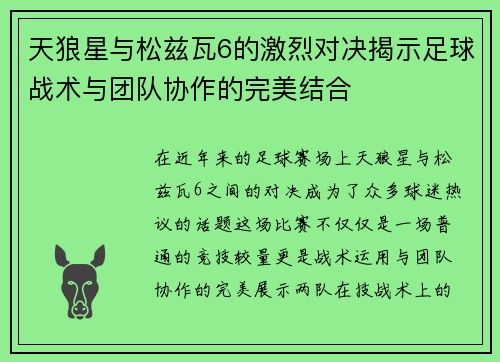 天狼星与松兹瓦6的激烈对决揭示足球战术与团队协作的完美结合