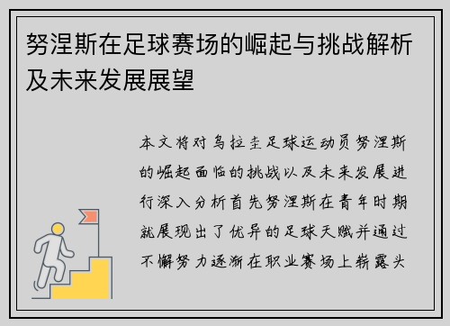努涅斯在足球赛场的崛起与挑战解析及未来发展展望