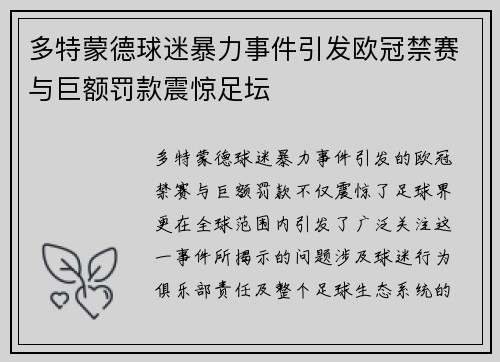 多特蒙德球迷暴力事件引发欧冠禁赛与巨额罚款震惊足坛