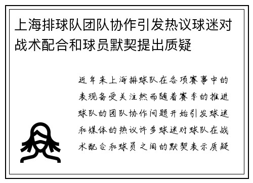 上海排球队团队协作引发热议球迷对战术配合和球员默契提出质疑
